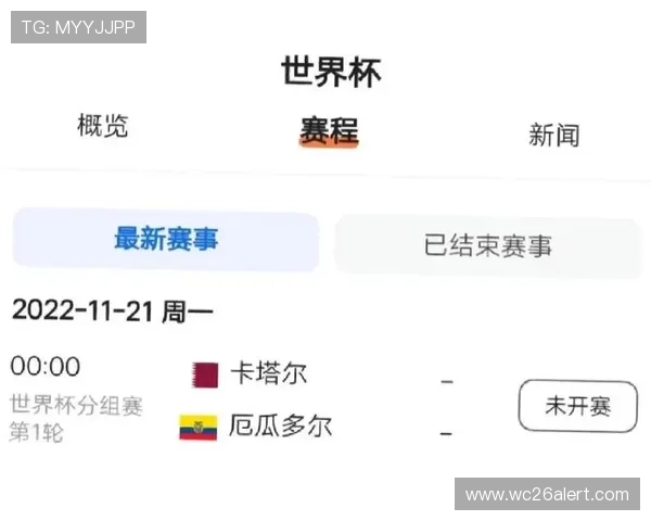 1998世界杯:东道主法国队的准备工作与赛场表现分析